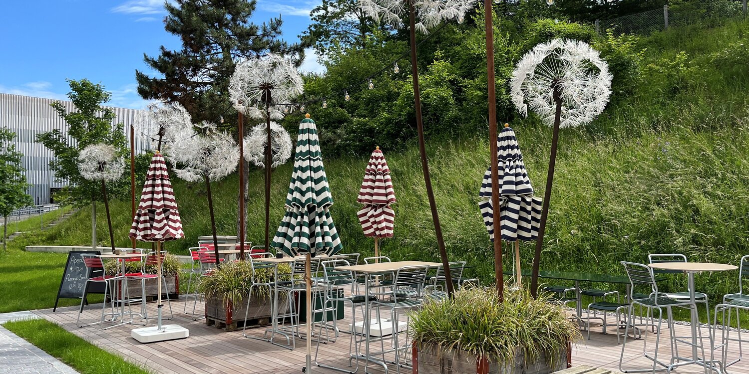 A relaxing start to the summer holidays - even with an early departure